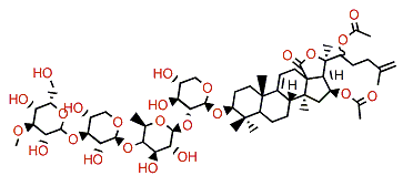 Cladoloside A2